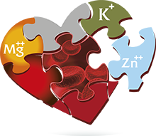 Cardioza S&uuml;damesool